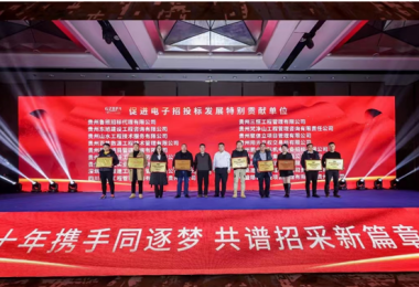 贵州阳光产权交易所荣获“促进电子招投标发展特别贡献单位”表彰
