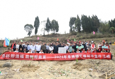 “造林即造福 栽树即栽富”2024年单株碳汇植树节活动在养龙司镇坝上村成功举行