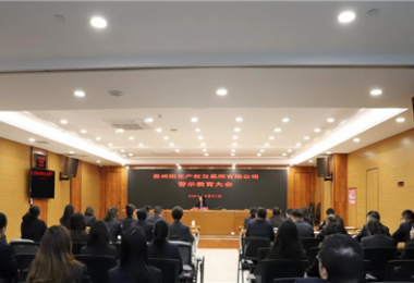 以案为鉴，警醒前行——贵州阳光产权交易所党委组织召开2024年警示教育大会