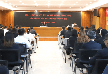 贵州阳光产权交易所有限公司举办2024年“安全生产月”专题培训