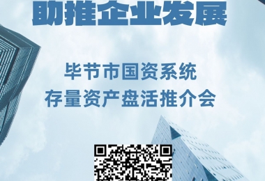 毕节市国资系统存量资产盘活推介会