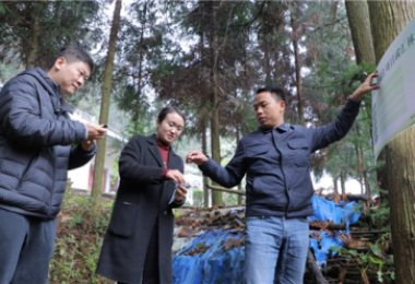 贵州省单株碳汇宣传活动在盘州市举行