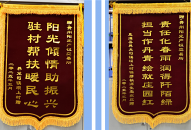 双锦映红乡村振兴路  阳光倾情浇灌坝上“春”——阳光产权交易所驻村帮扶获赠感恩锦旗