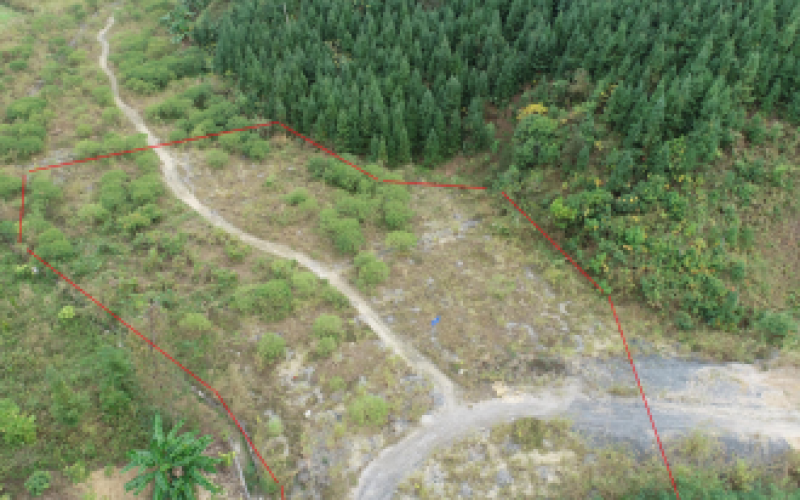 S62余安高速罗望段土地使用权招租(填平区2)