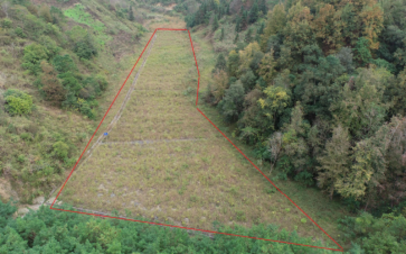 S62余安高速罗望段土地使用权招租(填平区4)