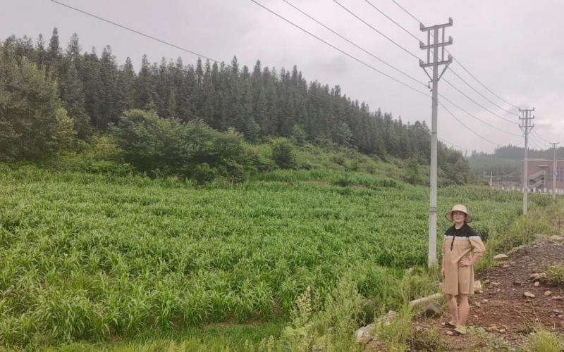 贵州东湖新城市建设投资有限公司持有的4处商业地块