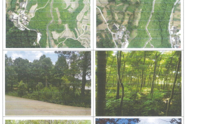 贵阳盛丰多罗绿化有限公司生物性资产处置(四次挂牌)