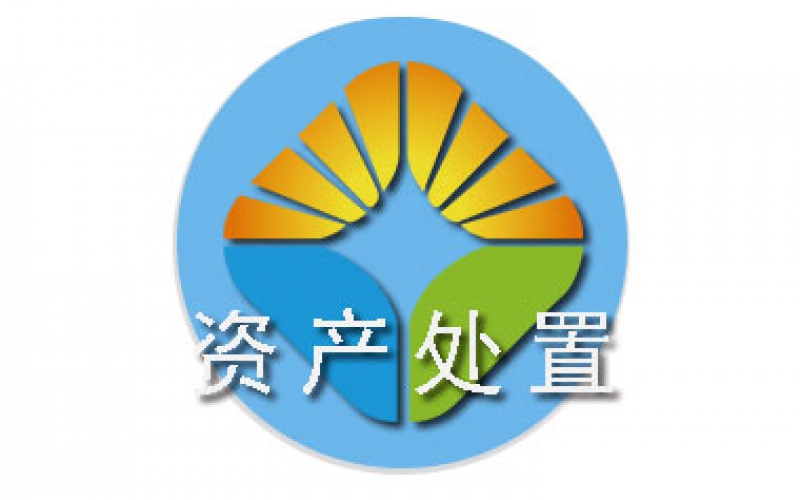 贵阳副食果品有限公司持有的宝马X3车辆资产