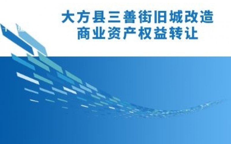 大方县三善街旧城改造商业资产权益转让