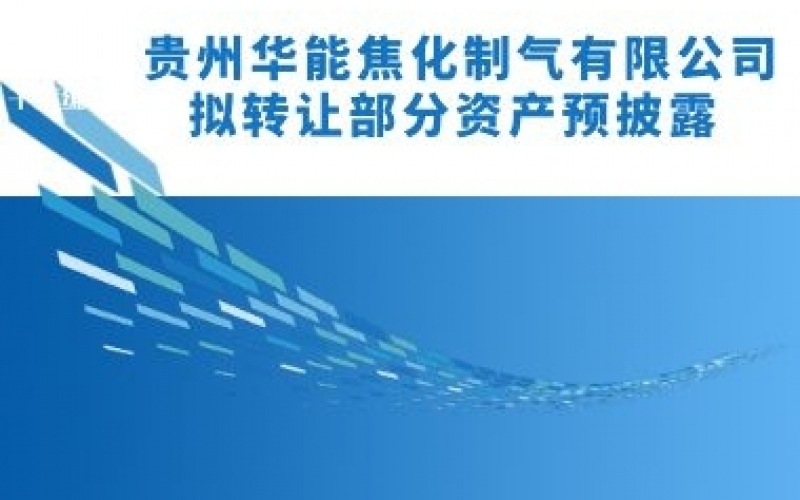 贵州华能焦化制气有限公司拟转让部分资产预披露