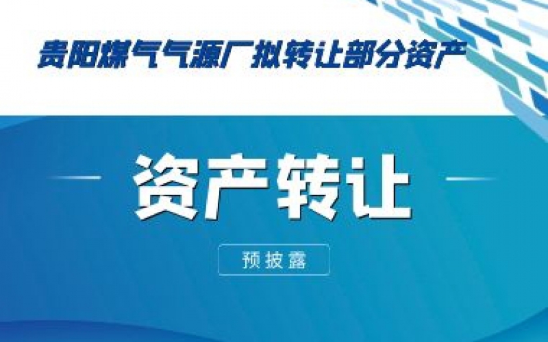 (预披露)贵阳煤气气源厂拟转让部分资产预披露