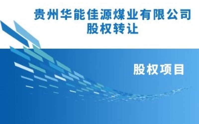 预披露贵州华能佳源煤业有限公司股权转让