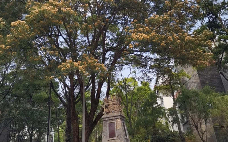 云南省大理山水间二期一组团草鹭4－2号房产转让(二次挂牌)