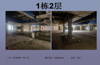 安龙翔龙嘉莲项目(商业)